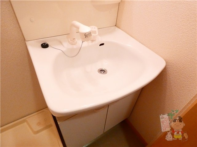 スタシオン南の洗面所