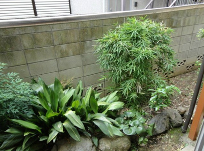 【庭】 | 高橋ハイツ