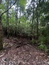 大津市南小松1833-10　売土地の画像