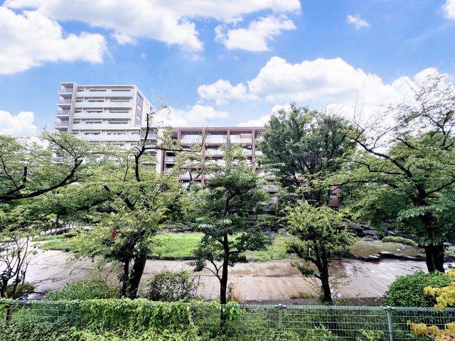 錦糸町ガーデニアの展望|建物がなく、開放的な眺望