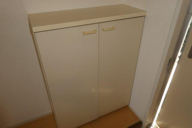 倉敷市老松町１丁目のアパートの収納|シューズボックス