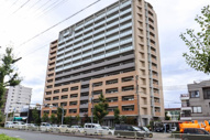 アデニウム北加賀屋の画像