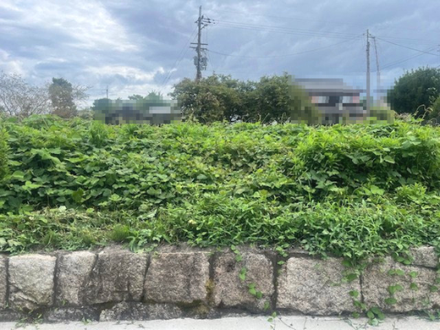 高島市新旭町藁園241坪土地の外観