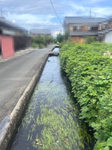 高島市新旭町藁園241坪土地の周辺