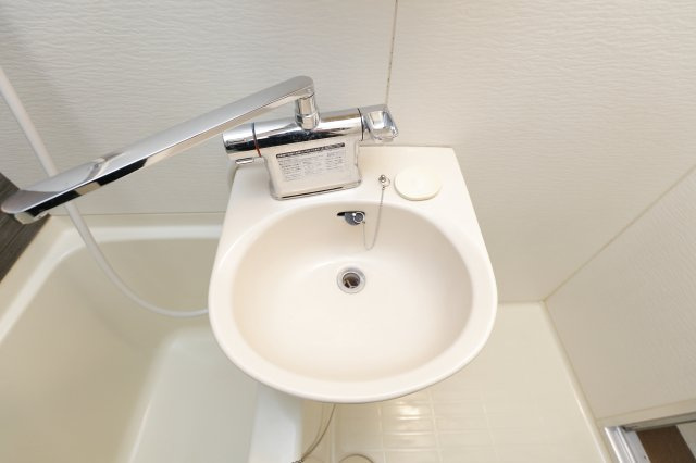 エストールⅡの洗面所