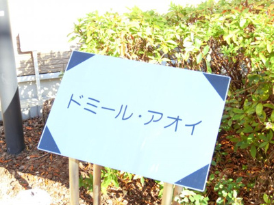 【エントランス】 | ドミール・アオイ