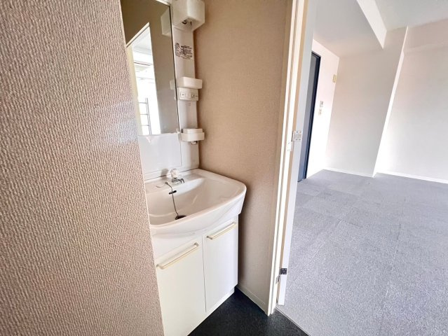 東新町 カーサエレベートⅡの洗面所