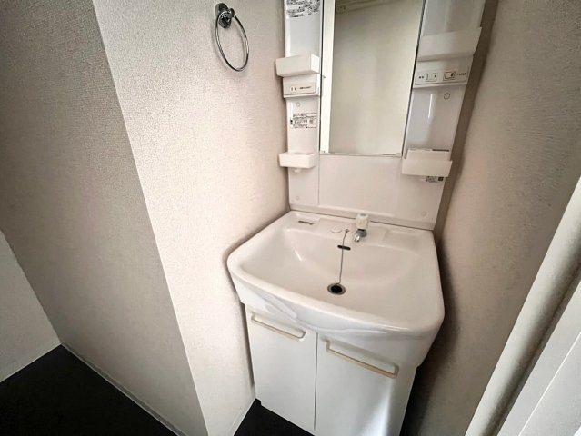 東新町 カーサエレベートⅡの洗面所