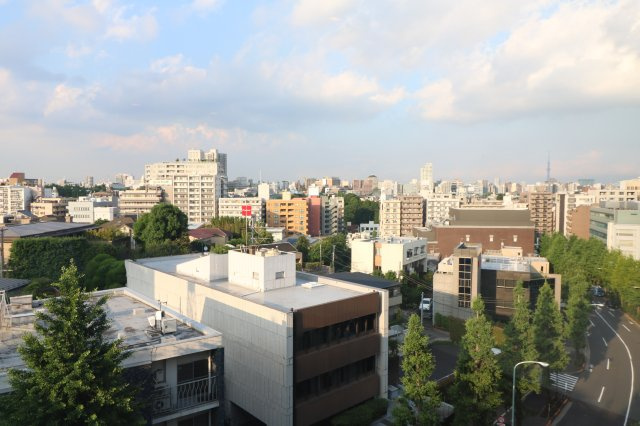 【展望】