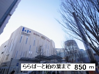 パルテールの周辺