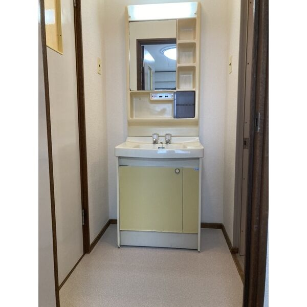 稲沢市小沢３丁目の賃貸マンションの洗面所