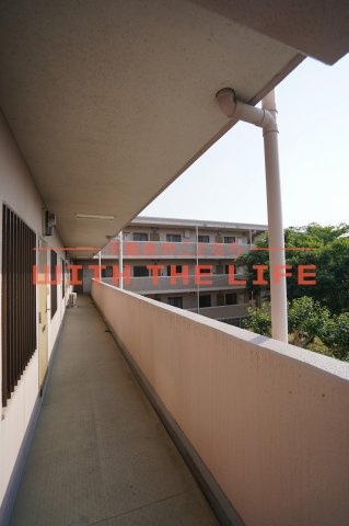 グリーンハイツ(上津）【キャッシュバック対象物件】のロビー|ゆとりのあるロビーです