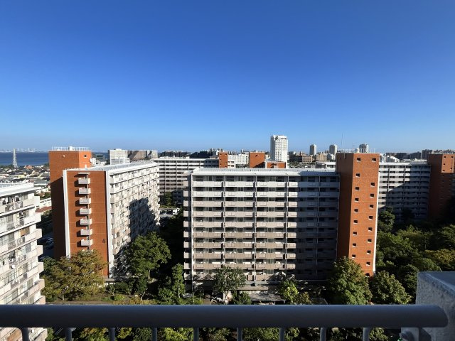 の-の画像