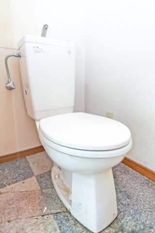 ダイナコートエスタディオ東公園Ⅱ　1階のトイレ