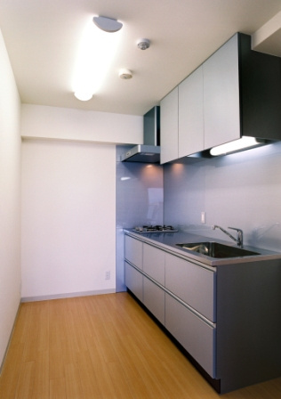 ピアッツァレント今井町のキッチン|2口ガスコンロの収納豊富なシステムキッチン