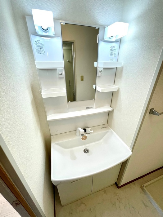 アネックス河尻　Dの洗面所|別部屋写真です。