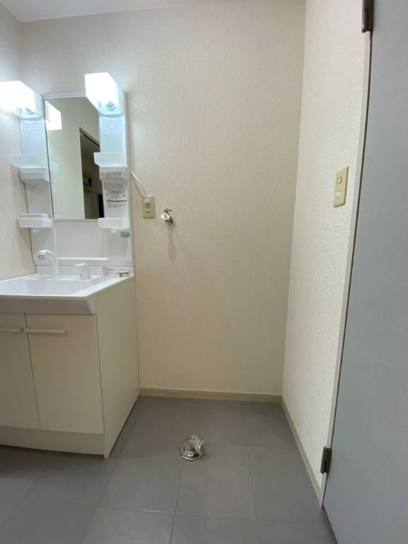 ディアス中津川Eの洗面所