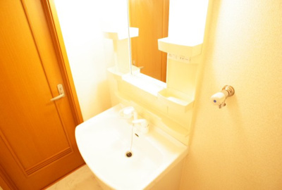 【独立洗面台】 | プラムビレッジ | シャンプードレッサー