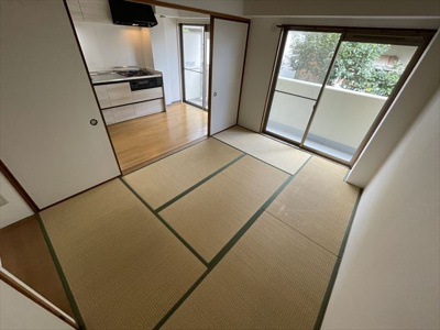  | スプルースコート