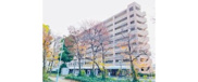 南朝潮コーポ壱号棟の画像