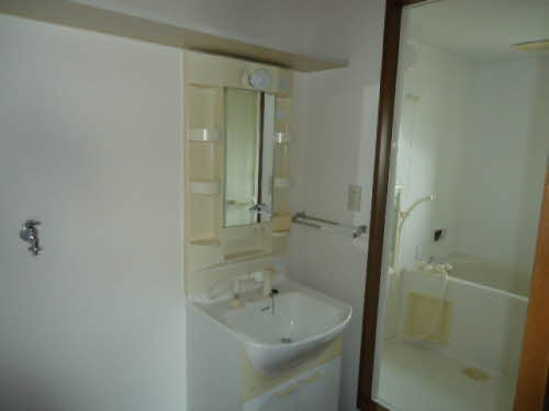 ヴィリジアン・ガーデンD・F・Gの独立洗面台|朝の支度にも助かる、独立の洗髪洗面化粧台