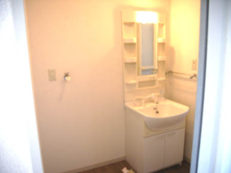 ヴィリジアン・ガーデンD・F・Gの洗面所|洗面所です