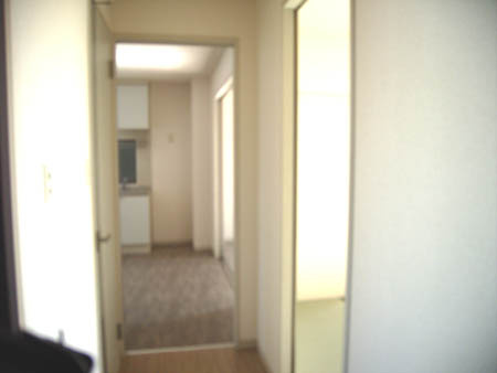 ヴィリジアン・ガーデンD・F・Gの内装|明るい色調の室内です