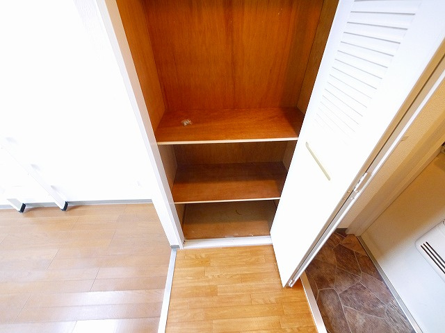 シティパレス21西大寺Part1の収納|十分な収納スペースがあります