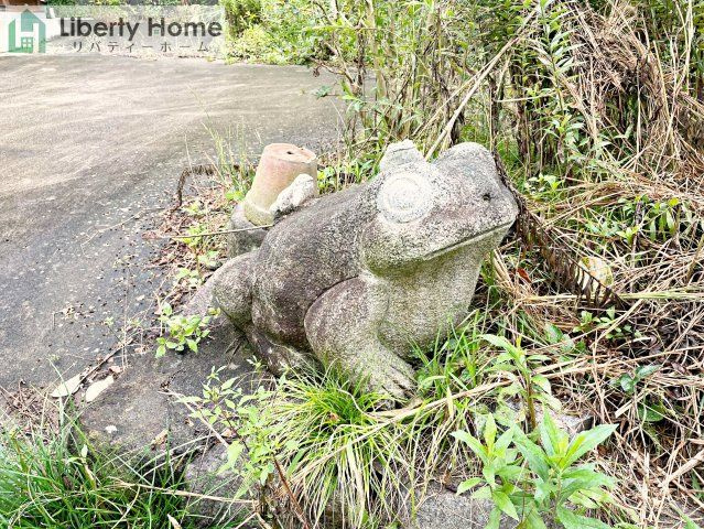 つくば市小沢　中古戸建の庭
