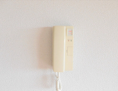 【セキュリティ】 | エテルナ・エーカーズ