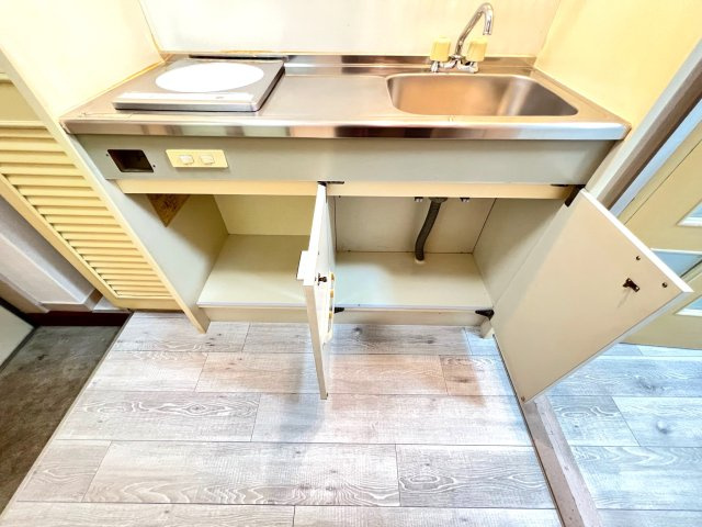入間川プレミアムのキッチン|キッチンです