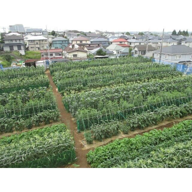 ソレイユ川和台の展望