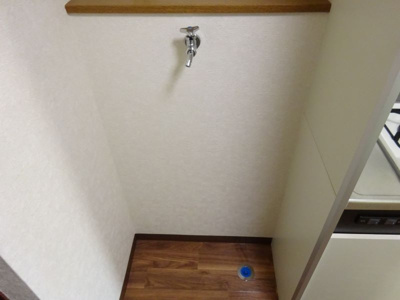 【洗面所】 | レジデンスコスモＡＮＮＥＸ