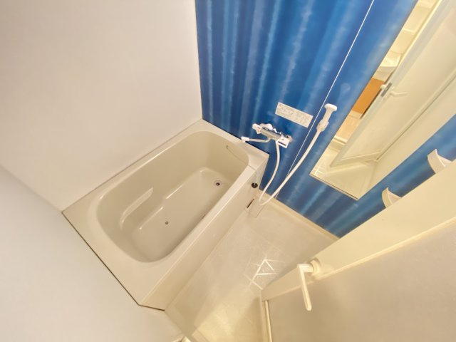 デルスールラローザの浴室