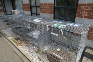 【その他共用部分】 | グロブナーハウス