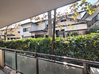 景色