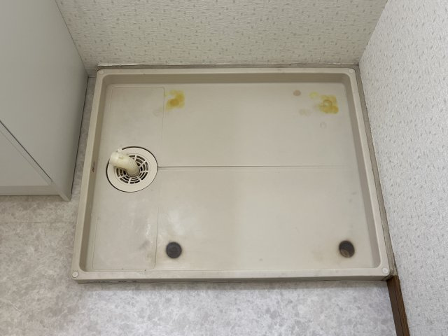 アムラインＢのその他