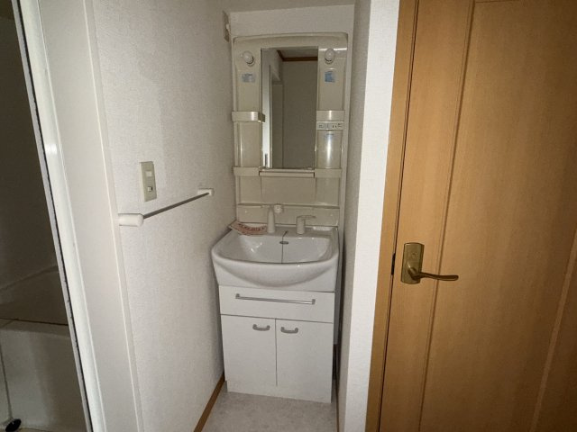 グレイスフルフィールドⅡの洗面所