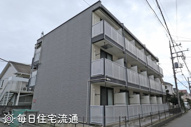 ハレマレコの画像