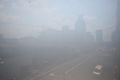 【展望】 | フェリシア