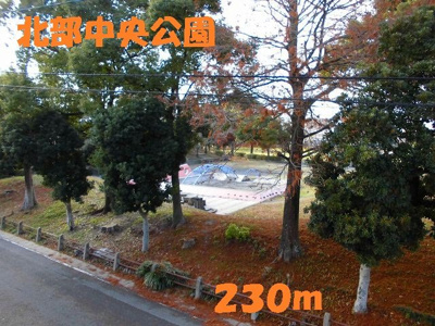 【周辺】 | ドリームハイツ高田 | 北部中央公園まで230m