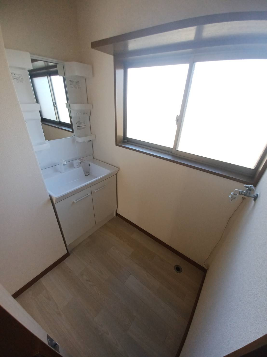 グリーンハイツの洗面所