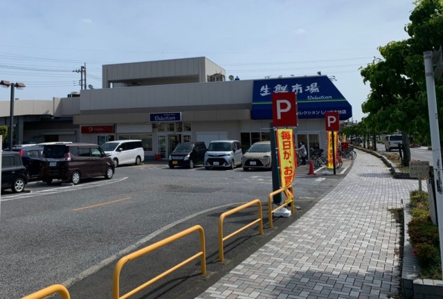 柏市南逆井6丁目新築戸建【逆井小学校：10分】の周辺|セレクション（スーパー）まで700ｍ