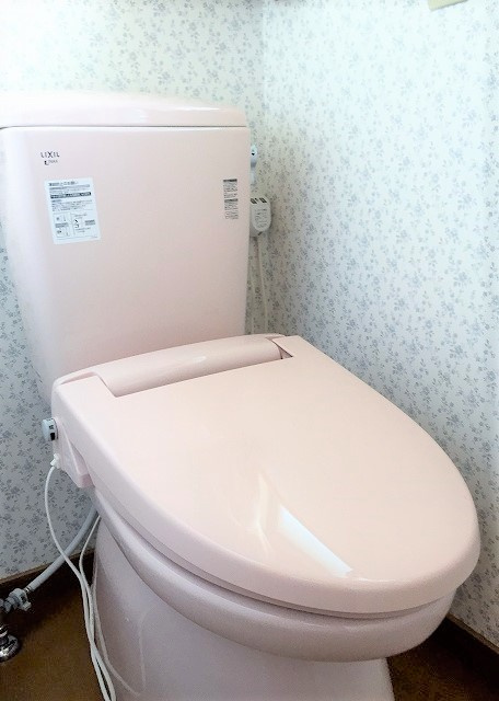 遠野市松崎町白岩の一戸建てのトイレ