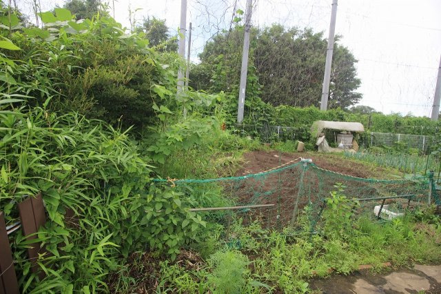 小山市喜沢の外観|2020年7月撮影