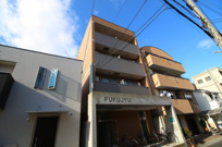 フクジュの画像