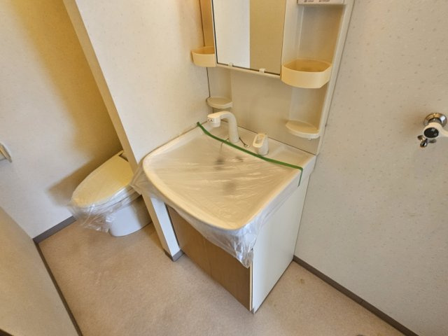 コーポ寿の洗面所