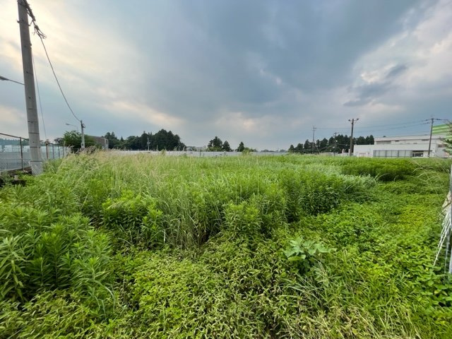 都城市今町の売地の外観