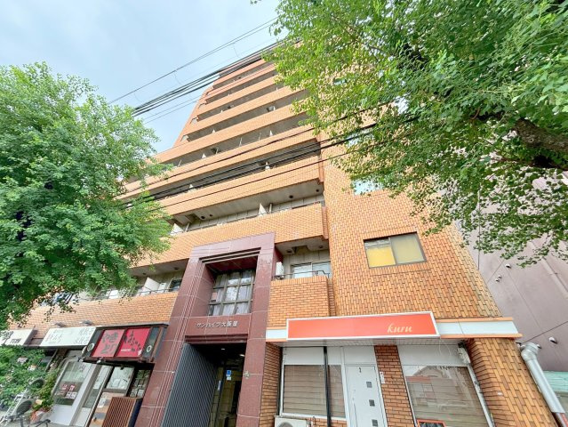 サンハイツ大阪屋の外観