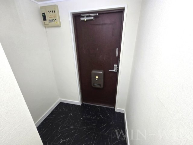 タウンハイツ平南の玄関